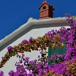 In With Sea View, Terrace, Air Conditioning, Wifi 4552-8 Apartament *