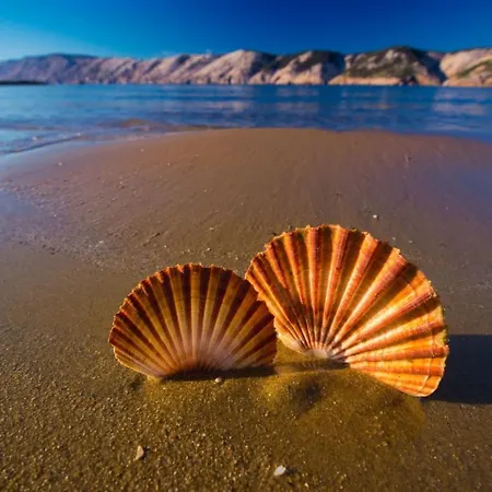 In With Sea View, Terrace, Air Conditioning, Wifi 4552-8