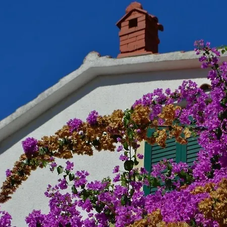 In With Sea View, Terrace, Air Conditioning, Wifi 4552-8 Apartment *