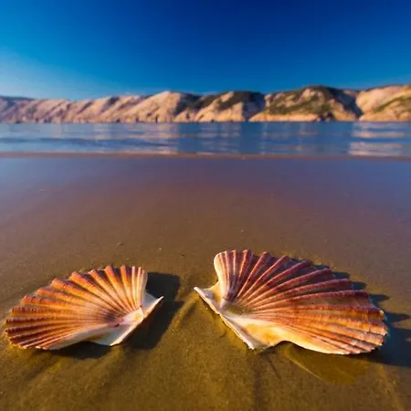 Apartment In With Sea View, Terrace, Air Conditioning, Wifi 4552-8